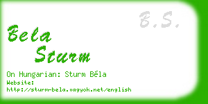 bela sturm business card