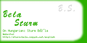 bela sturm business card